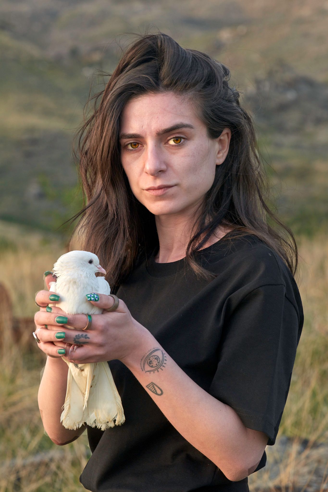 M20240527AM_Pigeon1890309