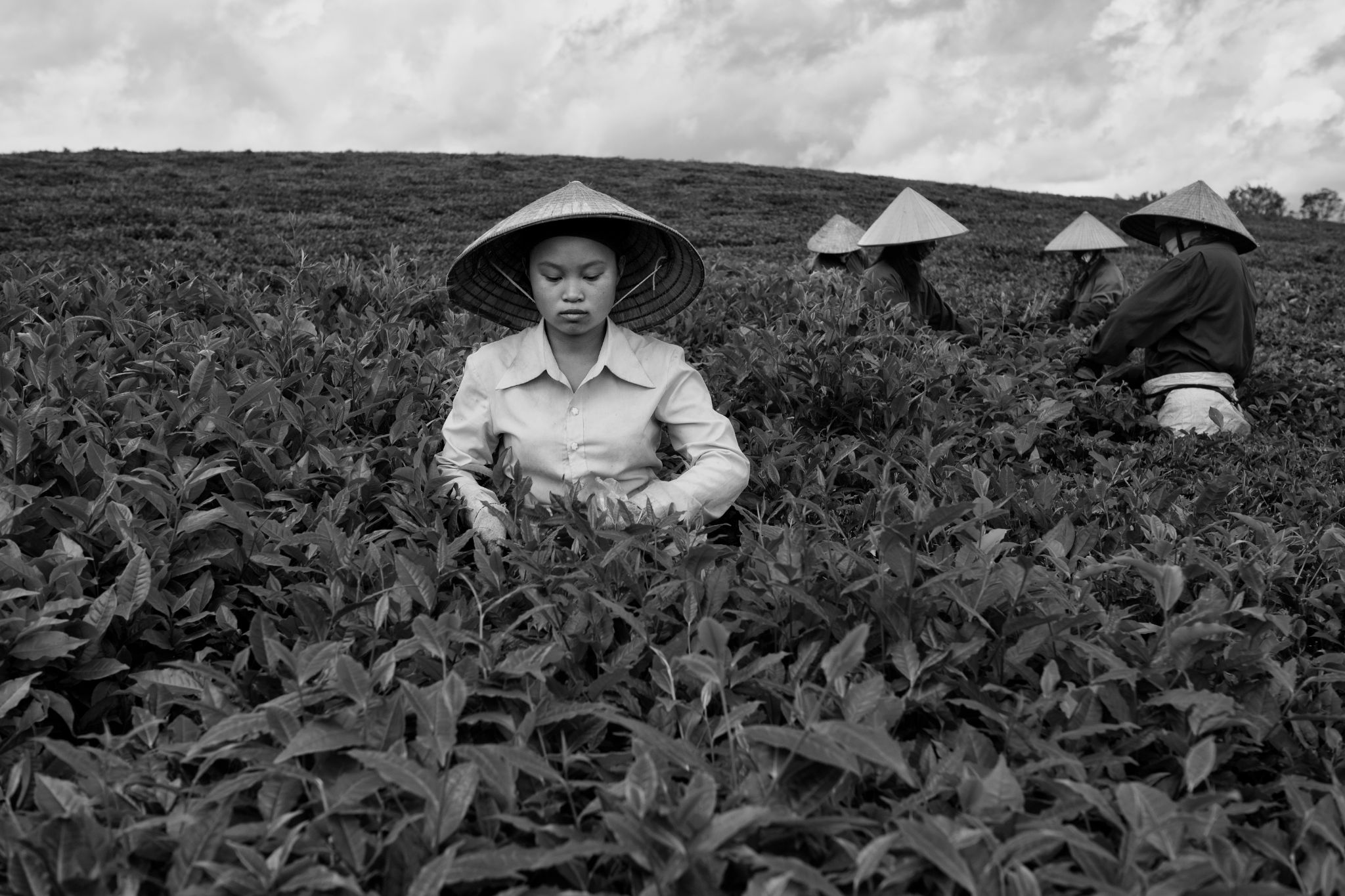 BW_M140828VN_Tea0659