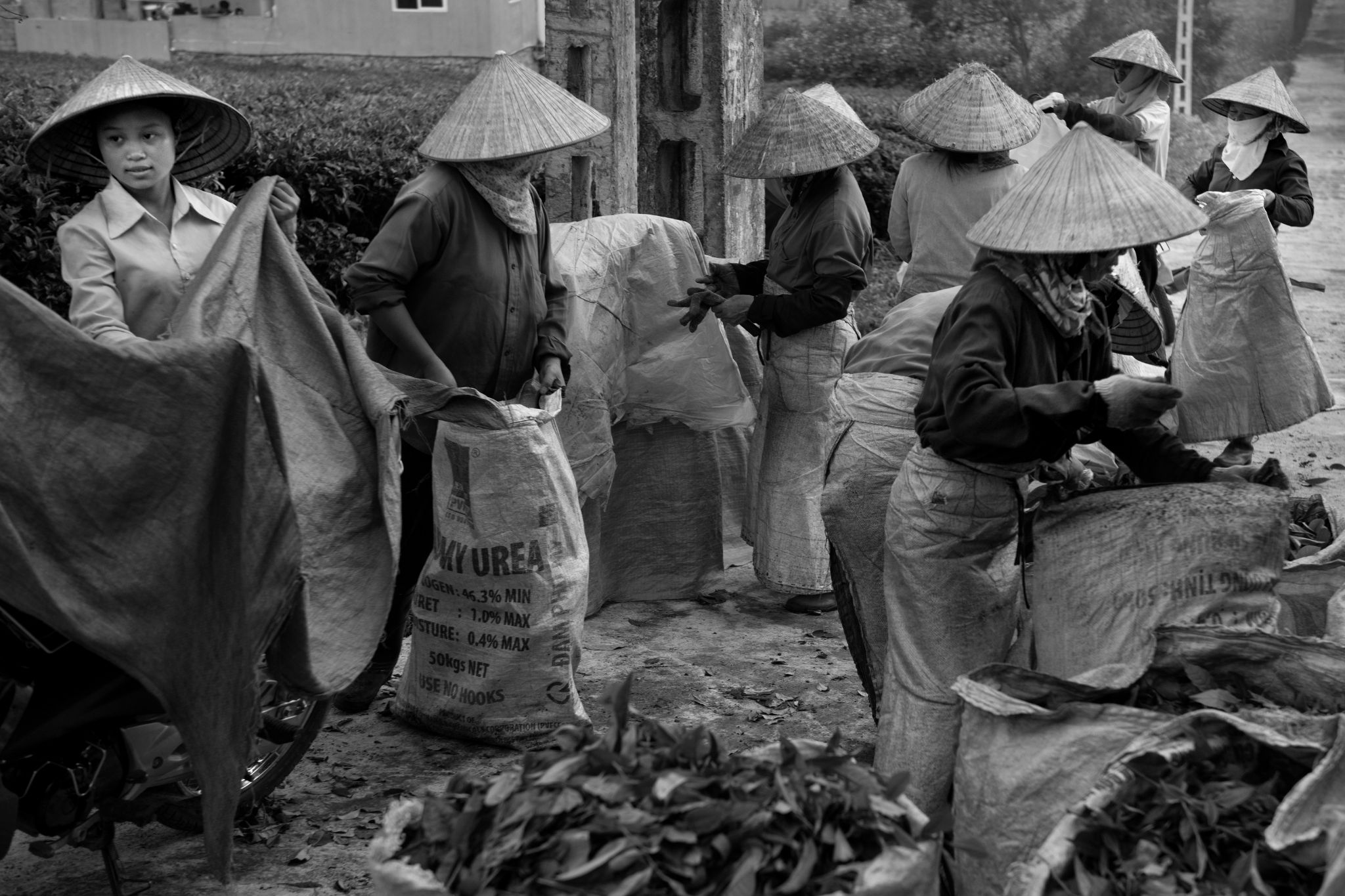 BW_M140828VN_Tea0873