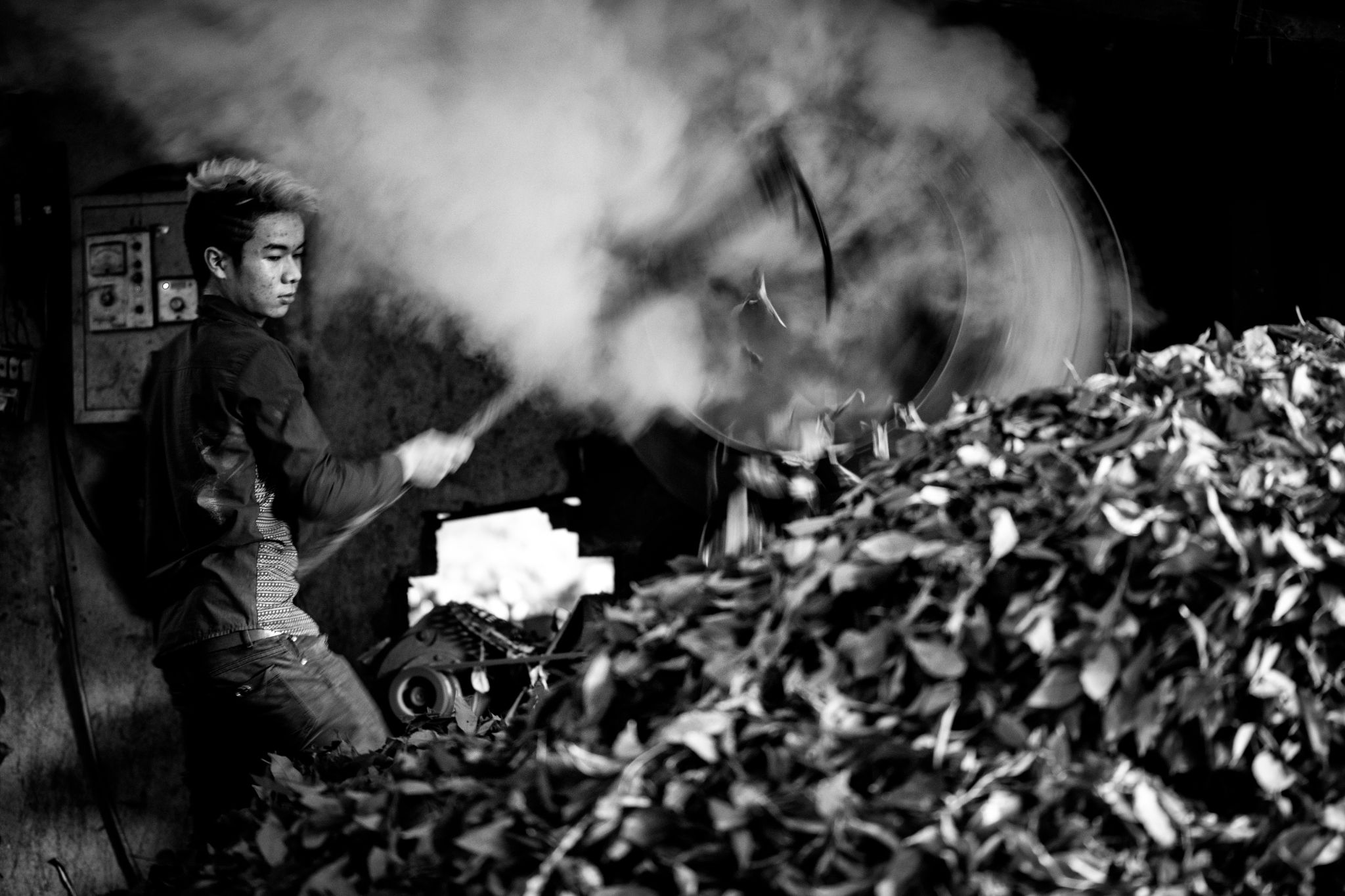 BW_M140828VN_Tea1786