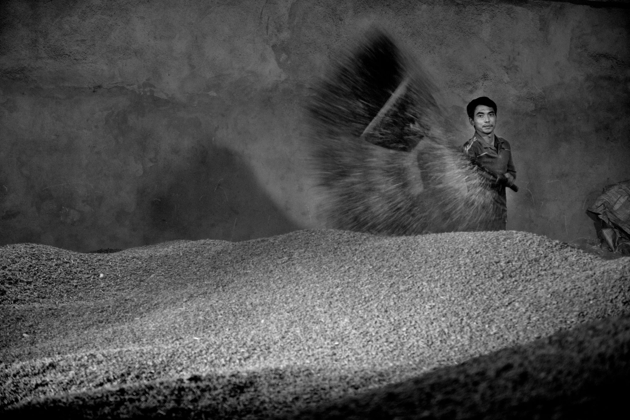 BW_M140828VN_Tea2193