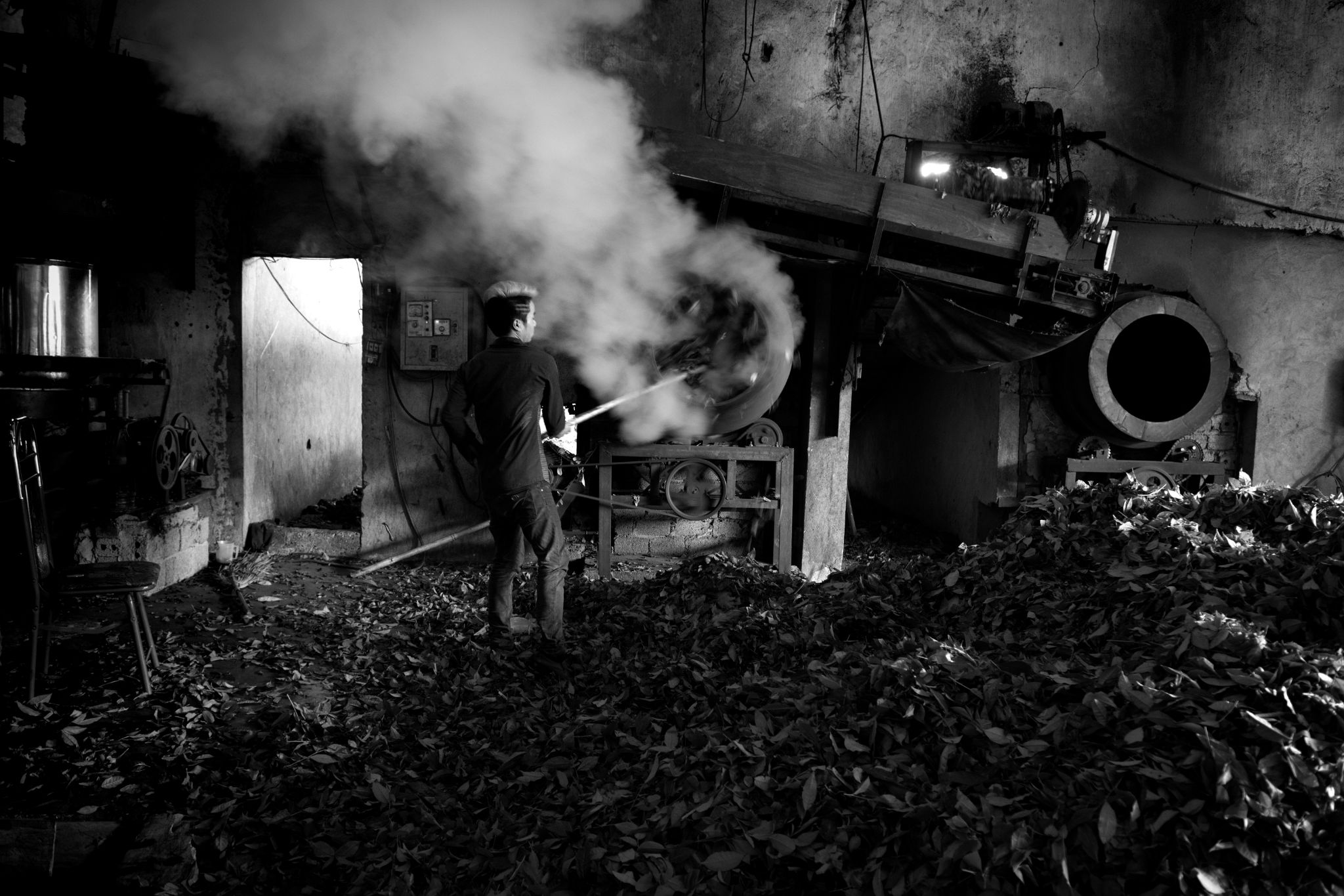 BW_M140828VN_Tea2241