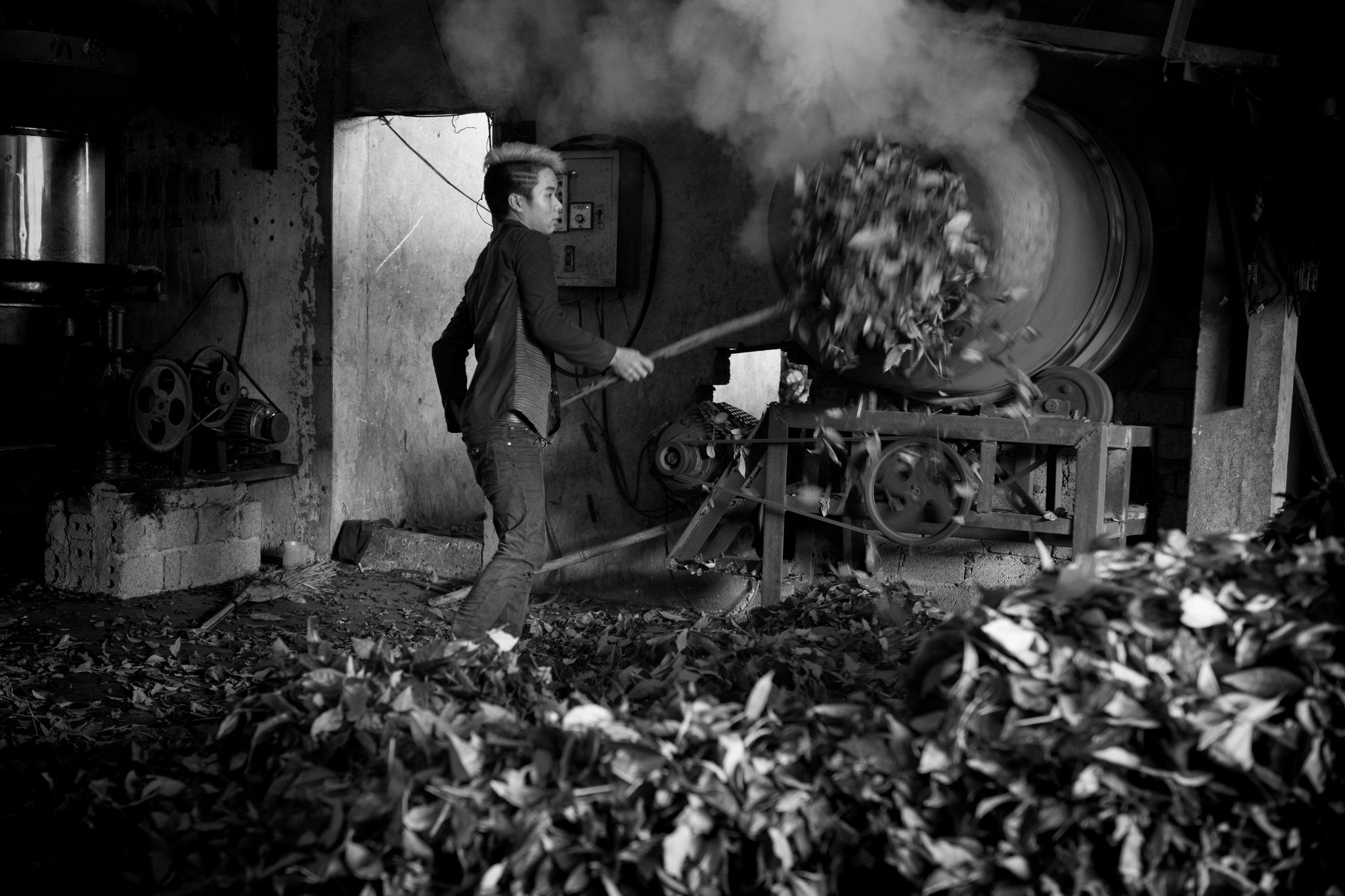 BW_M140828VN_Tea2290