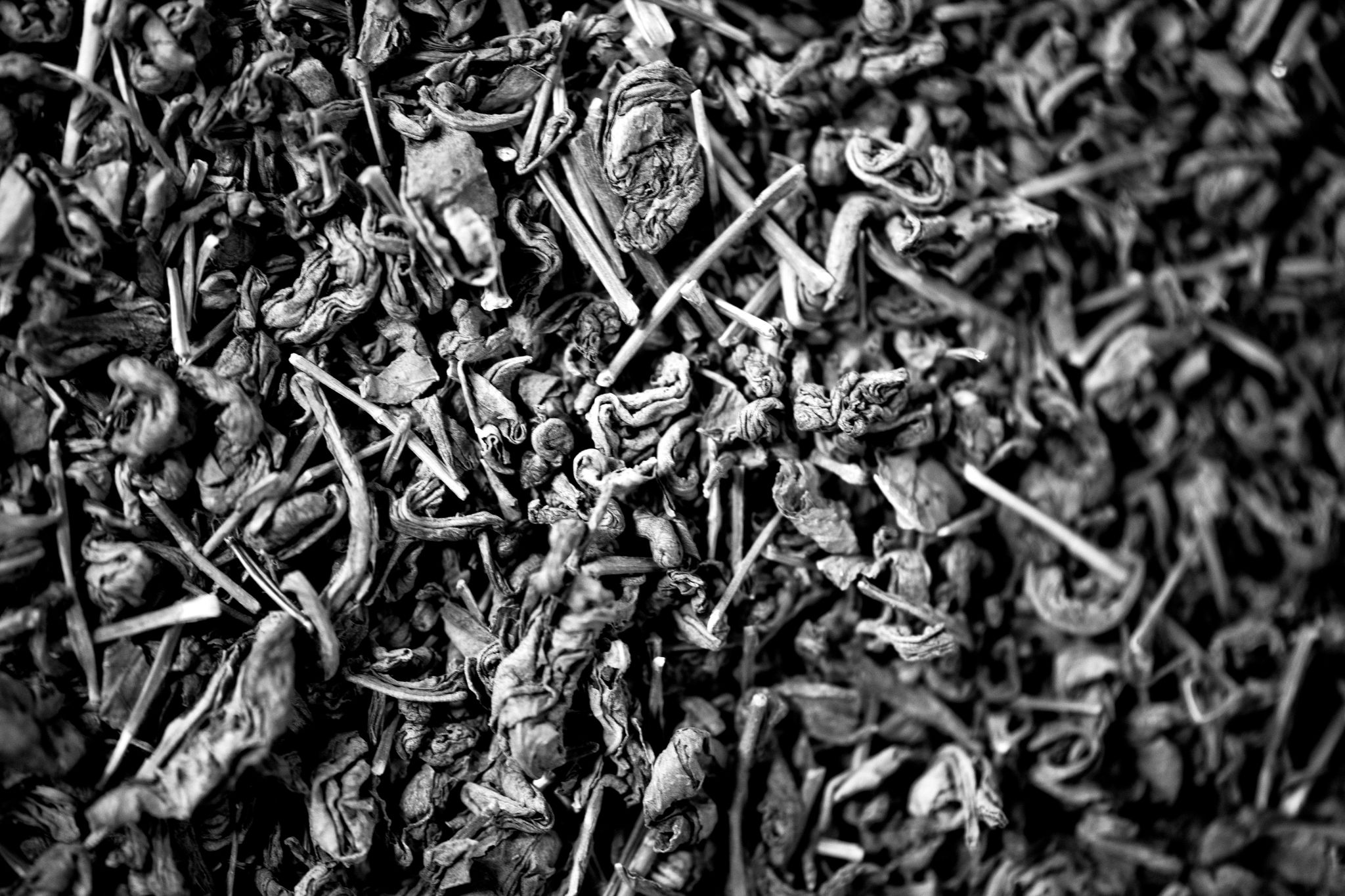 BW_M140828VN_Tea2417